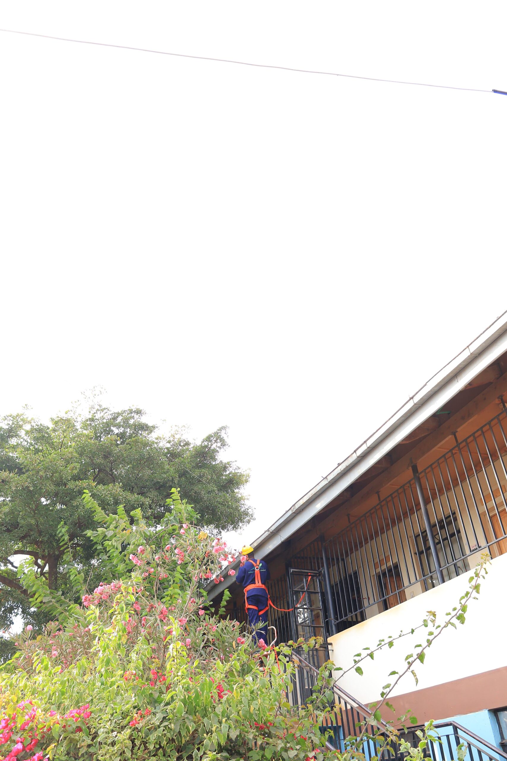 maliquew landscaping nairobi 