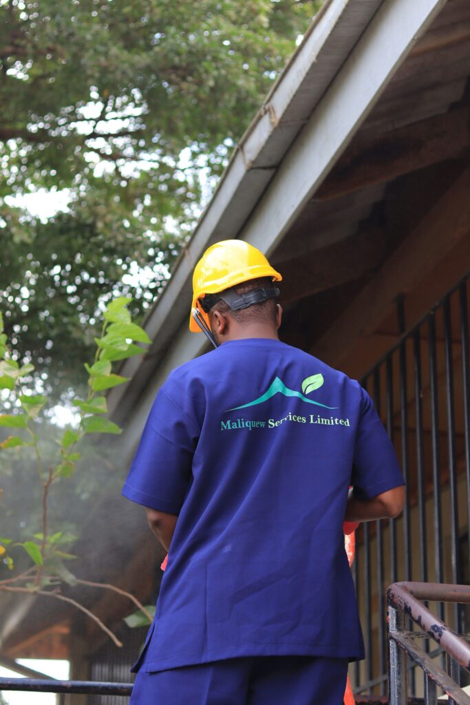 maliquew landscaping services nairobi