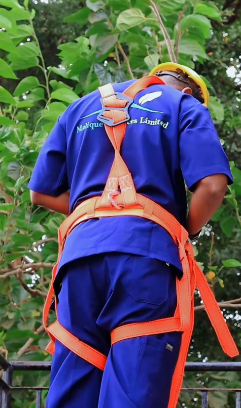 maliquew services limited